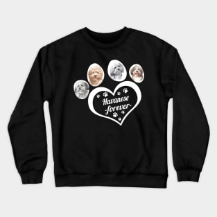 Havanese forever Crewneck Sweatshirt